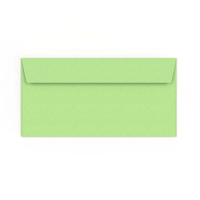 DL Pale Green Peel & Seal Envelope (110 x 220mm)