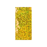 Holografische Folienumschläge