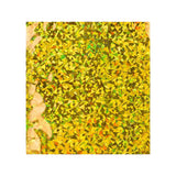 Holografische Folienumschläge