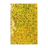 Holografische Folienumschläge